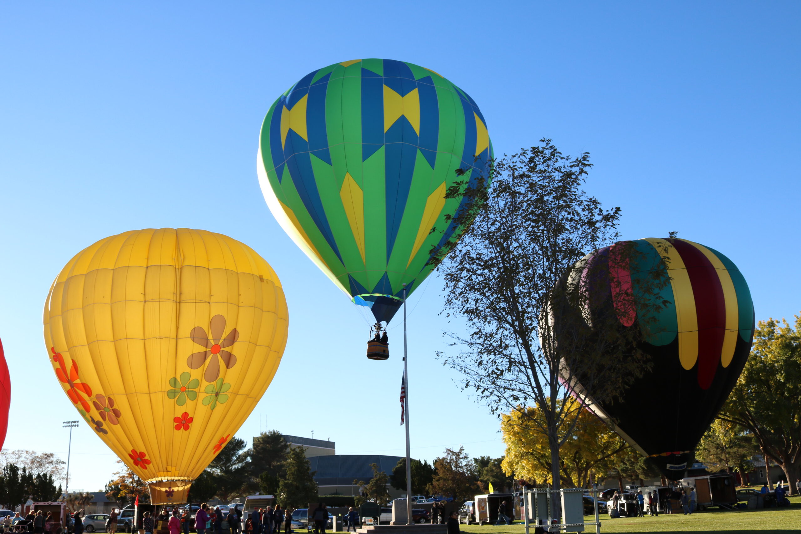“Up, Up and Away!” Hot Air Balloon Regatta