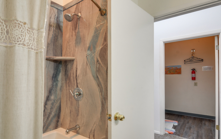 private luxury bathtub and shower