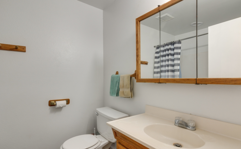 half bathroom apt3