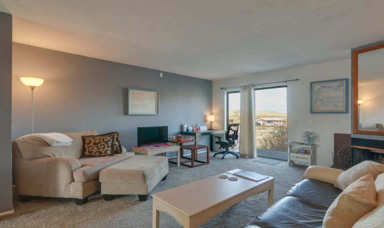 apartment 4 living room