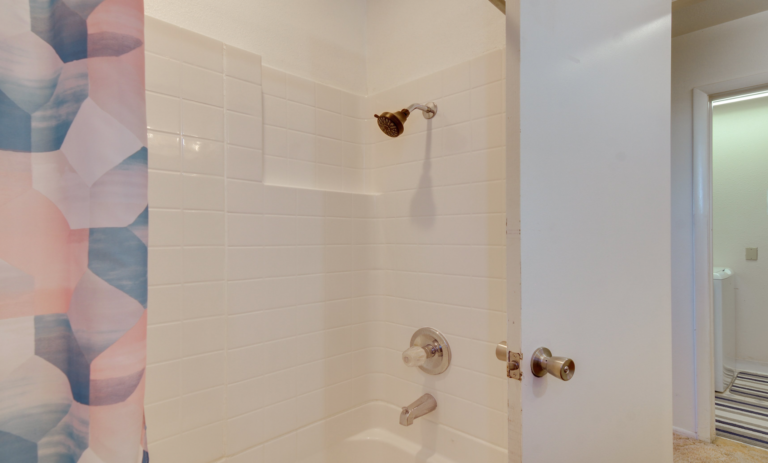 apt 4 shower/tub